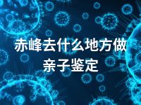 赤峰去什么地方做亲子鉴定