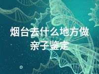 烟台去什么地方做亲子鉴定