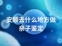 安顺去什么地方做亲子鉴定