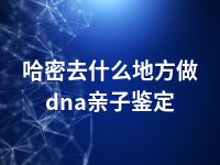 哈密去什么地方做dna亲子鉴定