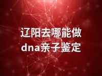 辽阳去哪能做dna亲子鉴定