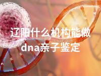 辽阳什么机构能做dna亲子鉴定