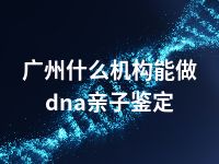 广州什么机构能做dna亲子鉴定