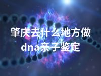 肇庆去什么地方做dna亲子鉴定