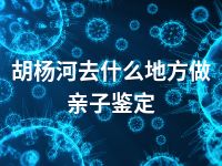 胡杨河去什么地方做亲子鉴定