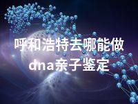 呼和浩特去哪能做dna亲子鉴定