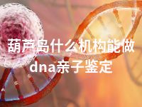 葫芦岛什么机构能做dna亲子鉴定