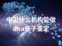 中卫什么机构能做dna亲子鉴定