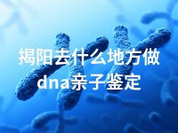 揭阳去什么地方做dna亲子鉴定