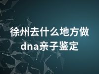 徐州去什么地方做dna亲子鉴定