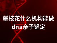 攀枝花什么机构能做dna亲子鉴定