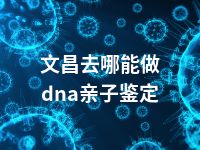 文昌去哪能做dna亲子鉴定