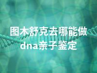 图木舒克去哪能做dna亲子鉴定