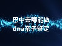 巴中去哪能做dna亲子鉴定