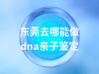 东莞去哪能做dna亲子鉴定