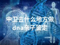 中卫去什么地方做dna亲子鉴定