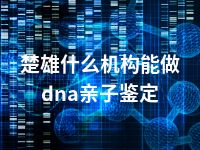 楚雄什么机构能做dna亲子鉴定