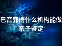 巴音郭楞什么机构能做亲子鉴定