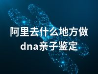 阿里去什么地方做dna亲子鉴定