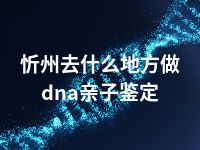 忻州去什么地方做dna亲子鉴定