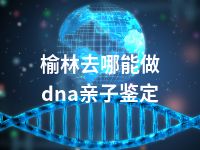 榆林去哪能做dna亲子鉴定