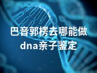 巴音郭楞去哪能做dna亲子鉴定