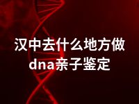 汉中去什么地方做dna亲子鉴定