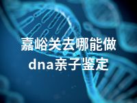 嘉峪关去哪能做dna亲子鉴定