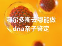 鄂尔多斯去哪能做dna亲子鉴定