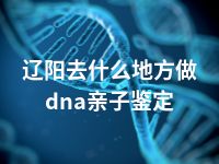 辽阳去什么地方做dna亲子鉴定