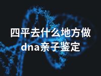 四平去什么地方做dna亲子鉴定