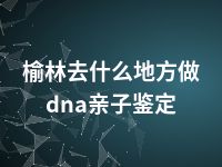 榆林去什么地方做dna亲子鉴定