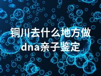 铜川去什么地方做dna亲子鉴定