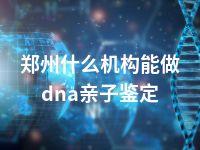 郑州什么机构能做dna亲子鉴定