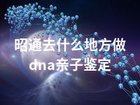 昭通去什么地方做dna亲子鉴定