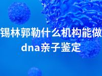 锡林郭勒什么机构能做dna亲子鉴定