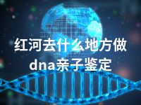 红河去什么地方做dna亲子鉴定