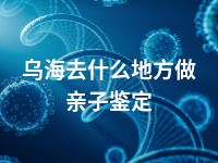 乌海去什么地方做亲子鉴定