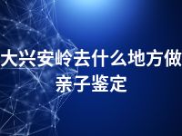 大兴安岭去什么地方做亲子鉴定