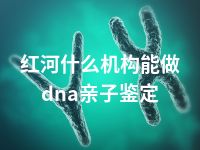 红河什么机构能做dna亲子鉴定