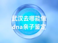 武汉去哪能做dna亲子鉴定