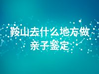 鞍山去什么地方做亲子鉴定