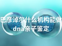 巴彦淖尔什么机构能做dna亲子鉴定