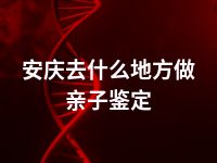 安庆去什么地方做亲子鉴定