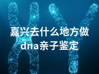 嘉兴去什么地方做dna亲子鉴定