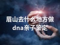 眉山去什么地方做dna亲子鉴定