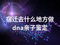 宿迁去什么地方做dna亲子鉴定