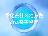 怀化去什么地方做dna亲子鉴定