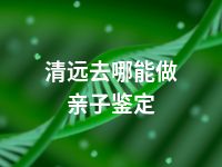 清远去哪能做亲子鉴定