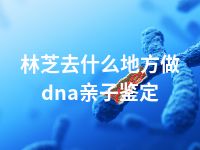 林芝去什么地方做dna亲子鉴定